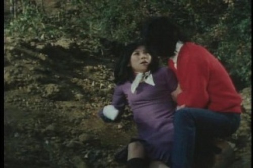 PDVD_027.jpg