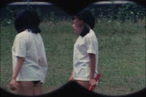 PDVD_009.jpg