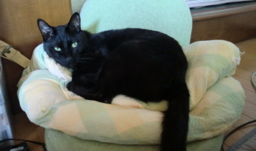 DCIM 006(V.2014_05_04__03_06_12).jpg