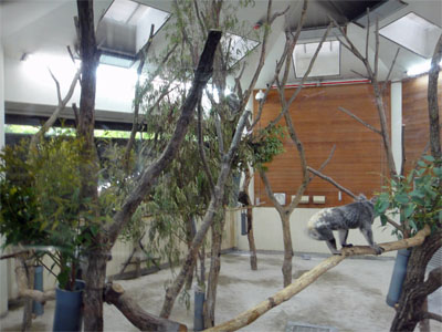 埼玉11.jpg
