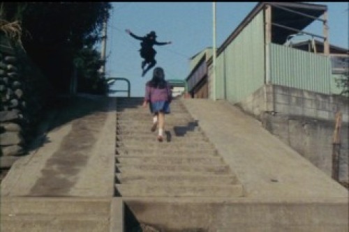 PDVD_009.jpg
