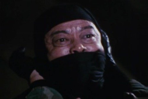 PDVD_029.jpg