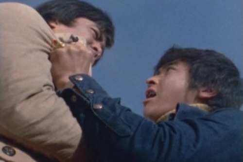 PDVD_012.jpg