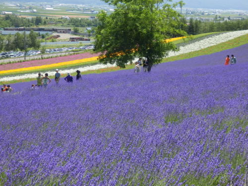 2013夏北海道_242.JPG