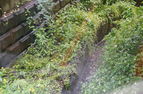 DSC03060.JPG