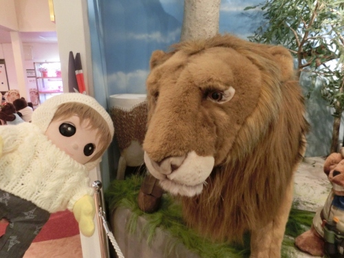 CIMG8787 (1280x960).jpg