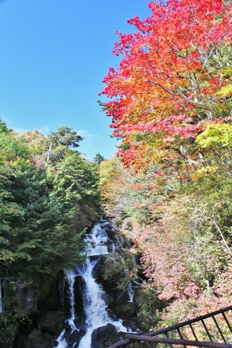 中禅寺湖ー竜頭の滝へ (1500x2250).jpg