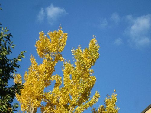 変換 ～ IMG_4638.jpg