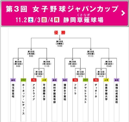 女子プロ野球リーグ　次の対戦カード.jpg