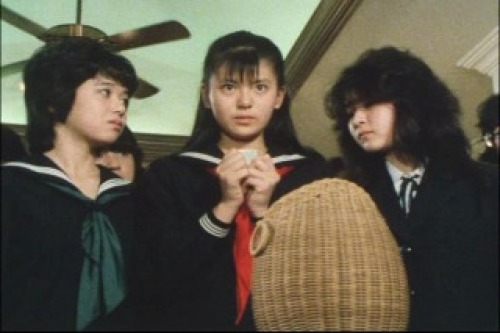 PDVD_009.jpg