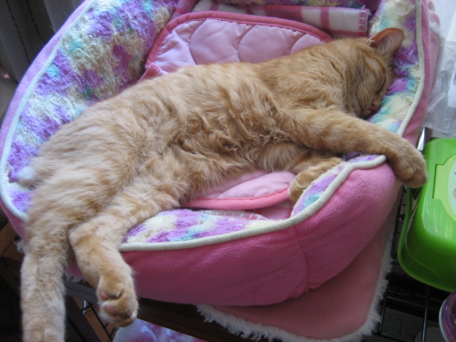 Sept. 19, 2015(9).JPG