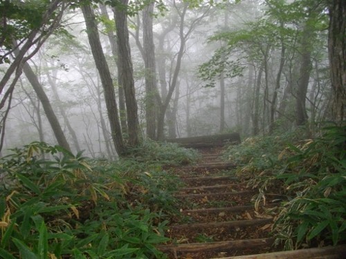 榛名外輪山天目山 (500x375).jpg