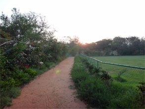 インド551.jpg