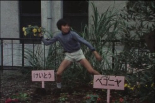 PDVD_018.jpg