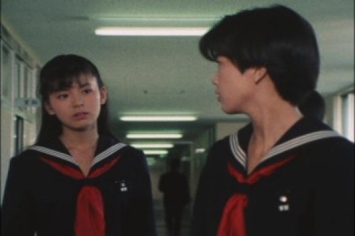 PDVD_005.jpg