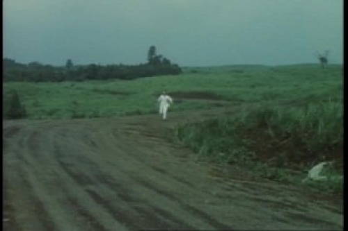 PDVD_005.jpg