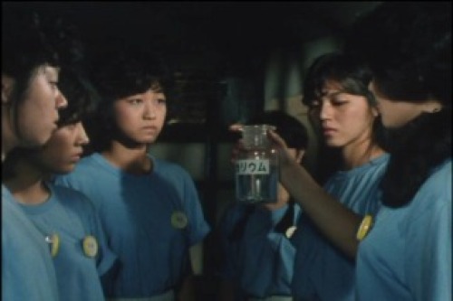 PDVD_044.jpg