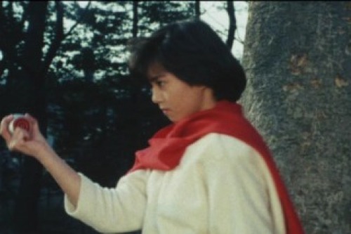 PDVD_027.jpg