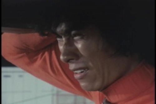 PDVD_028.jpg