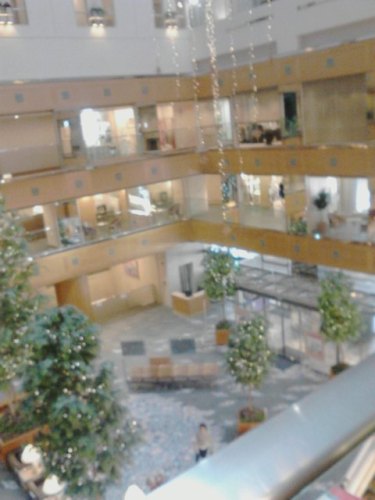 K0050107.JPG