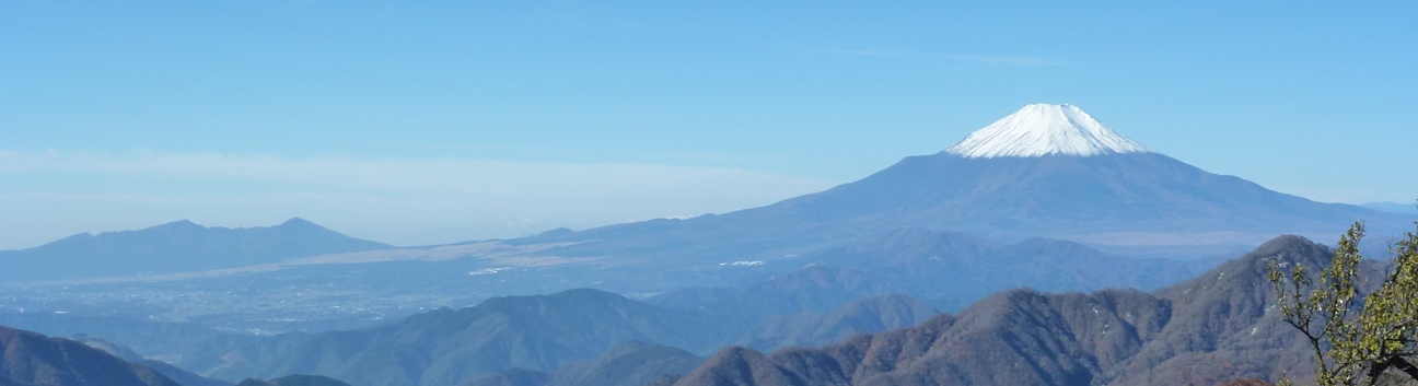 トコトコ走る！