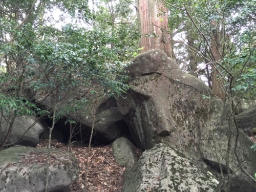 IMG_6497 (640x480).jpg