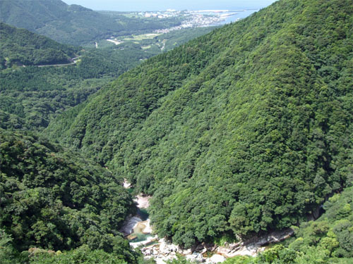 屋久島58.jpg