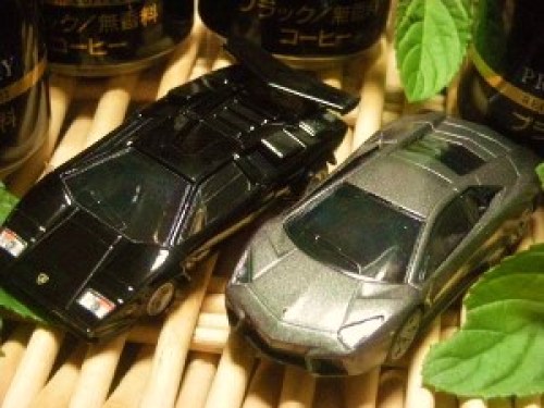 DSCN8758 (300x225).jpg