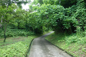 佐渡31.jpg