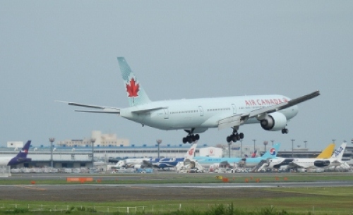 P6240220 (400x244).jpg