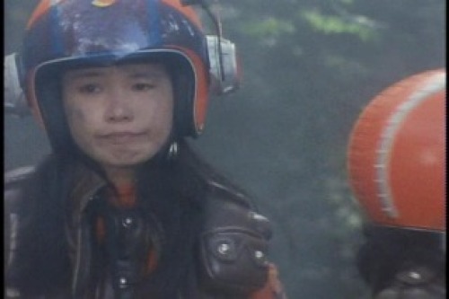 PDVD_003.jpg