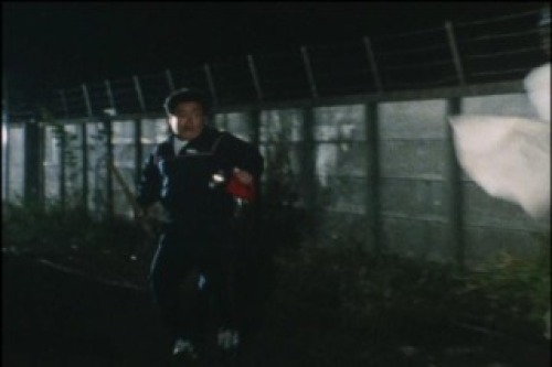 PDVD_004.jpg