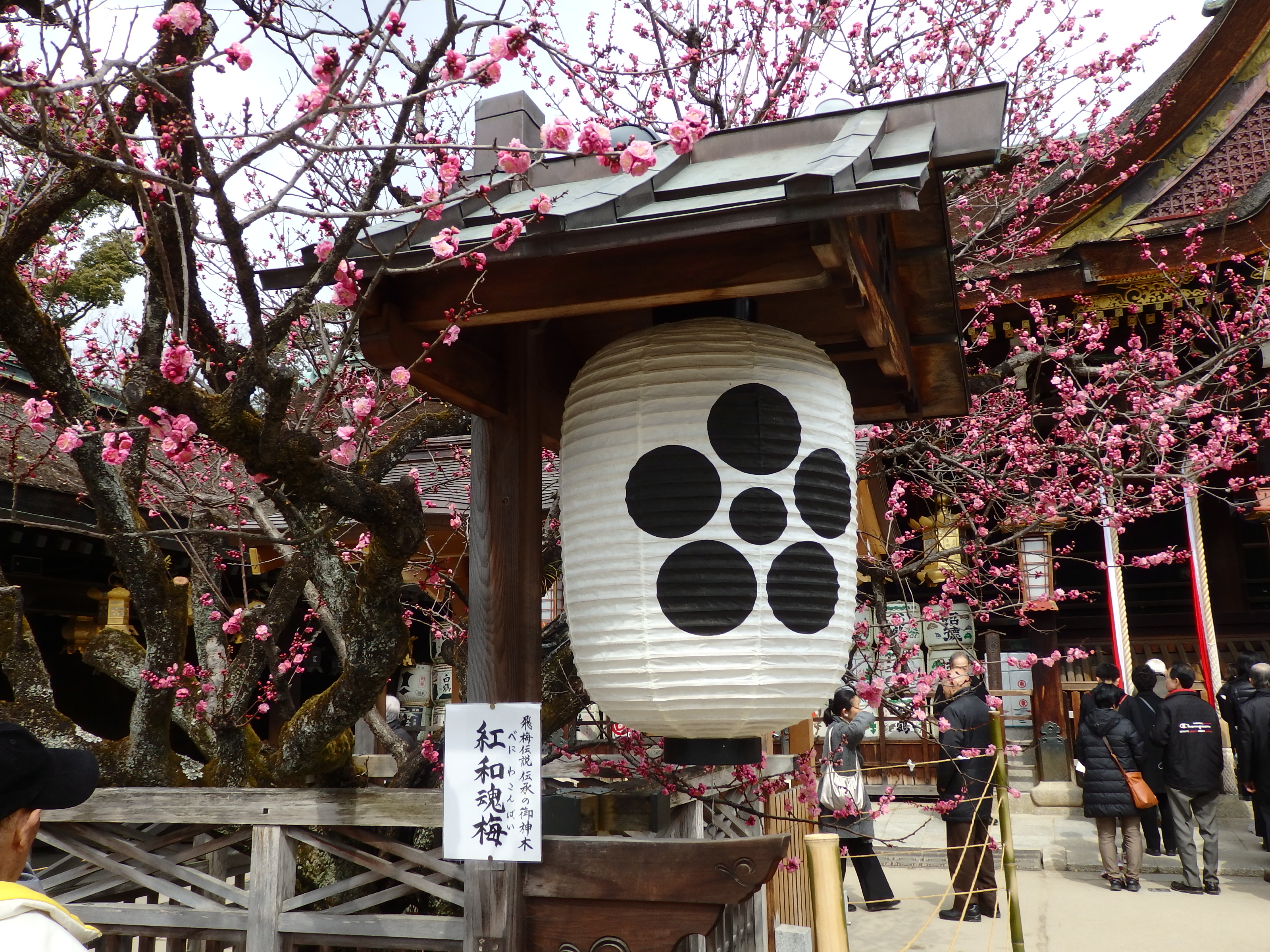 撫で牛 多景のふと思うとき 楽天ブログ