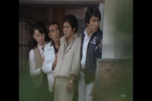 PDVD_045.jpg