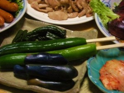 DSCN0543 (300x225).jpg