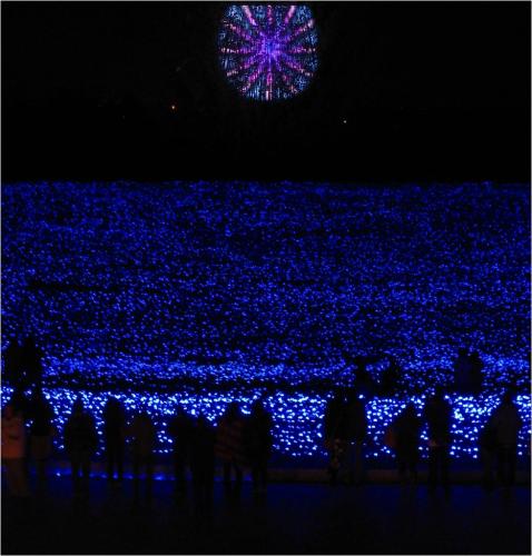イルミ_13夏、夢の共演花火.jpg