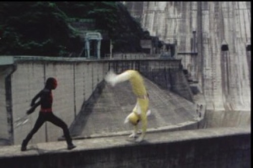 PDVD_019.jpg