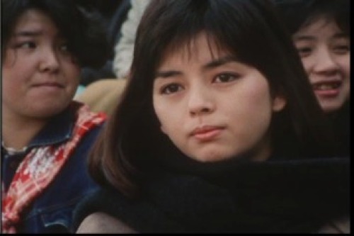 PDVD_063.jpg