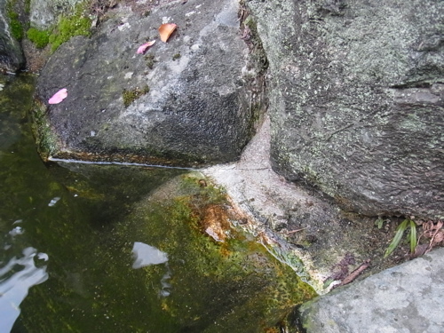 池の亀裂.jpg