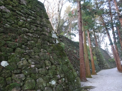 DSC00374.jpg