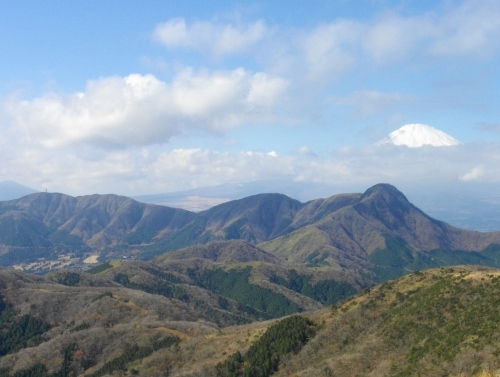 箱根外輪山明神ヶ岳 (7) (500x377).jpg