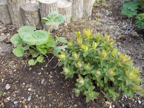 DSCN0312 (640x480).jpg