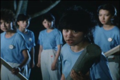 PDVD_009.jpg
