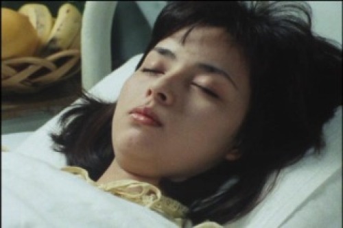 PDVD_037.jpg