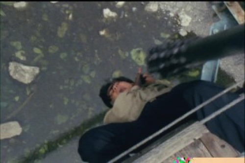 PDVD_014.jpg