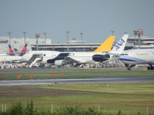 P6240288 (400x300).jpg