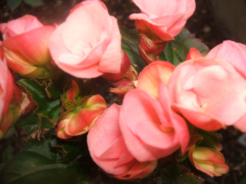 DSCF5966.JPG