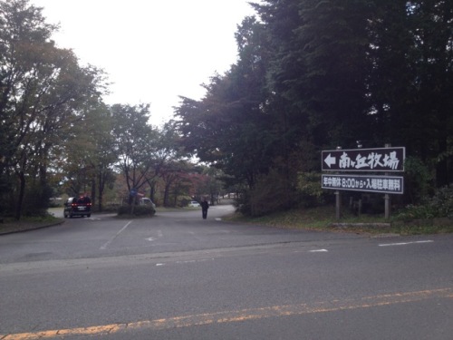 紅葉を探すライト?！14.jpg