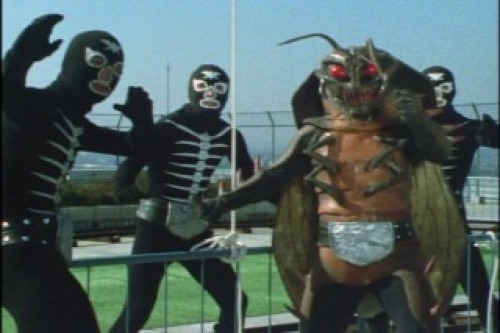 PDVD_043.jpg