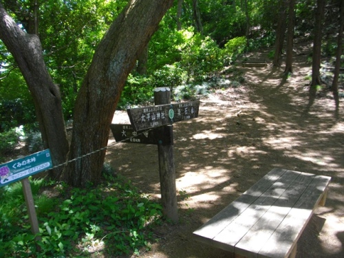 晃石山ぐみの木峠.JPG